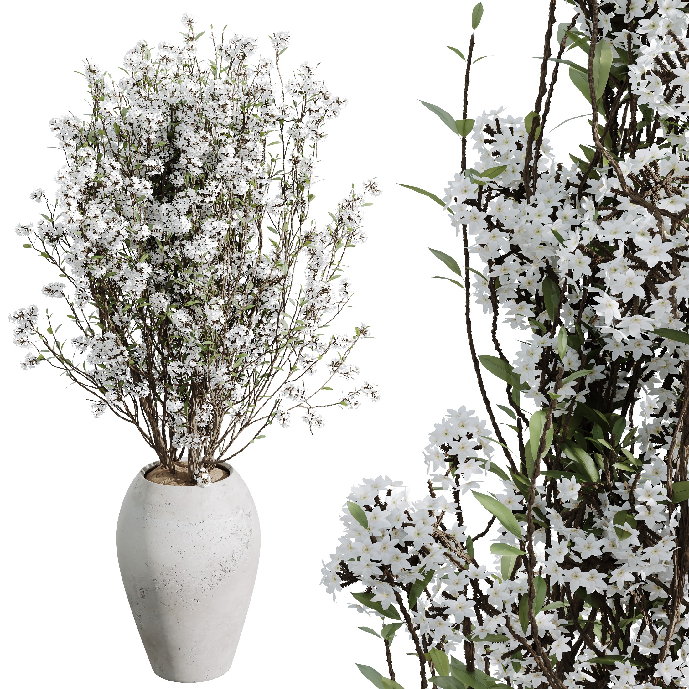 HQ HousePlants Tropez Planter Cherry Blossom Decorative Tree04 3D model_1