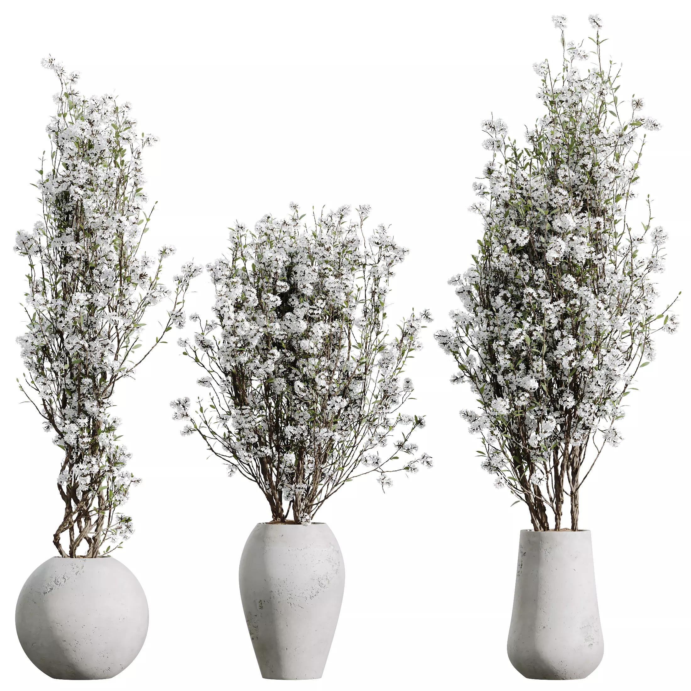 HQ HousePlants Tropez Planter Cherry Blossom Decorative Tree04 3D model_0