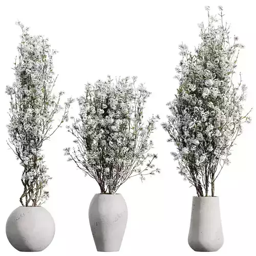 HQ HousePlants Tropez Planter Cherry Blossom Decorative Tree04 3D model