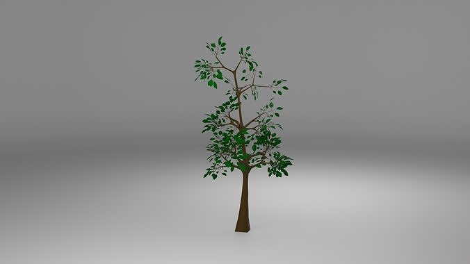 Simple Tree Free 3D model