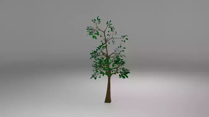 Simple Tree