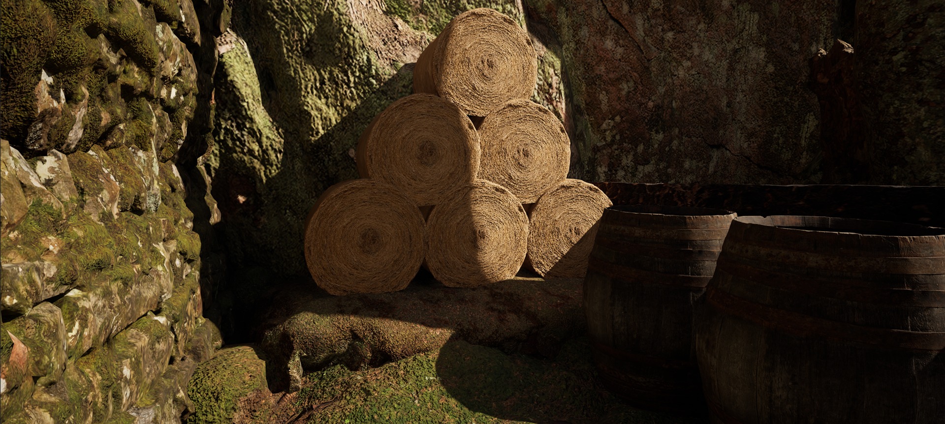 Farmer House and Barn in the Forest 3D model_45