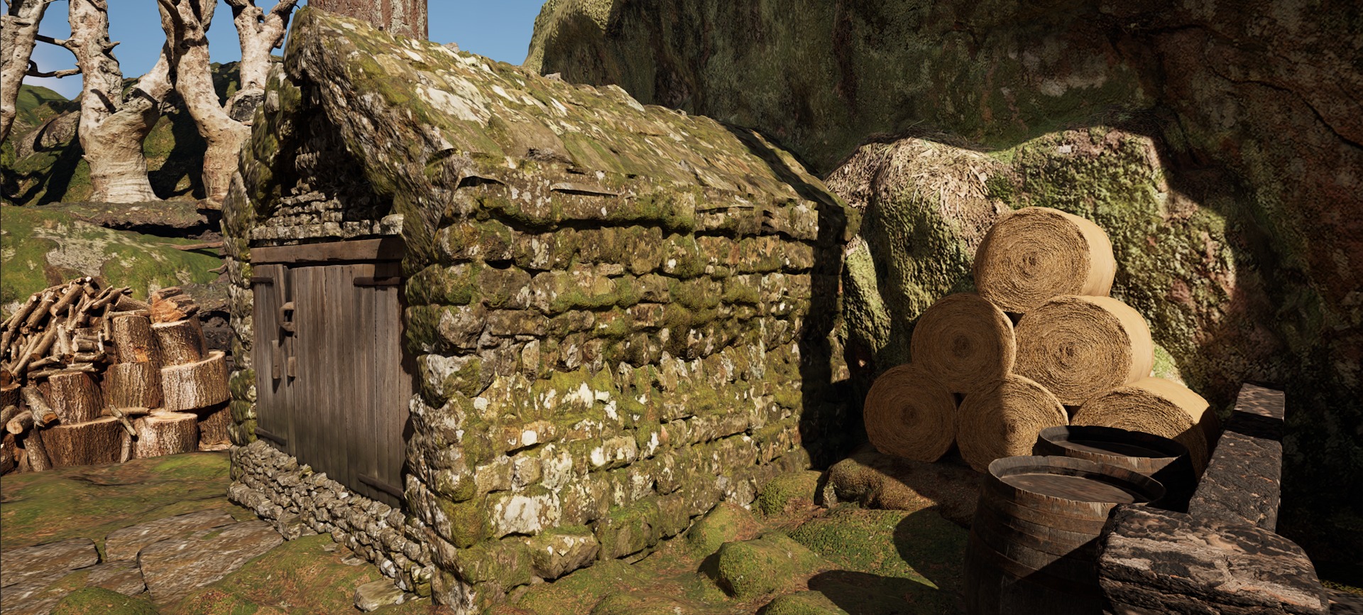 Farmer House and Barn in the Forest 3D model_44