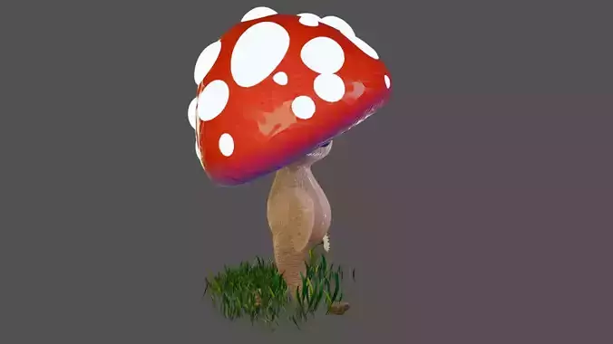 Mushroom 