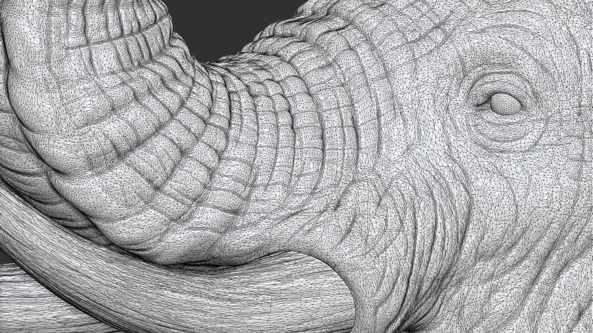 Elephant raised its head 3D print model_19