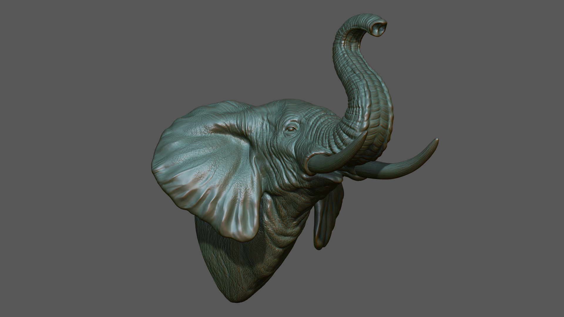 Elephant raised its head 3D print model_5