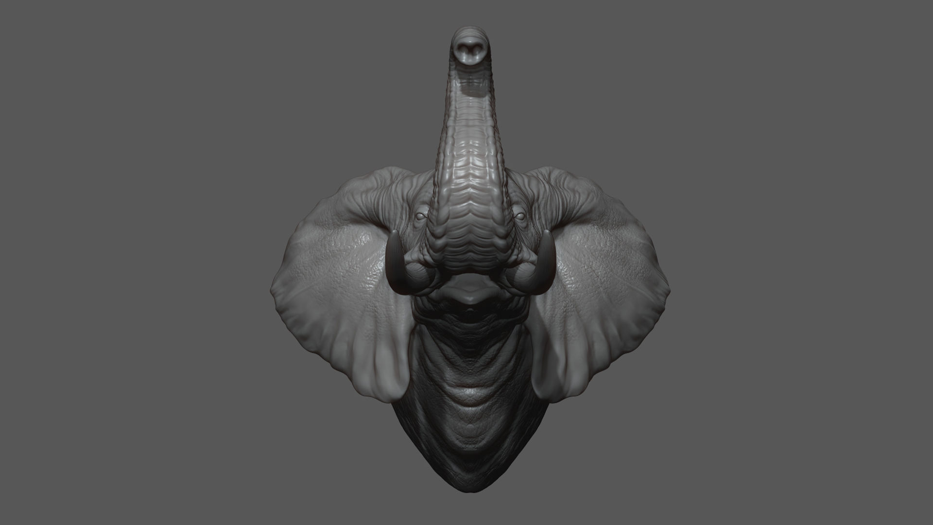 Elephant raised its head 3D print model_9