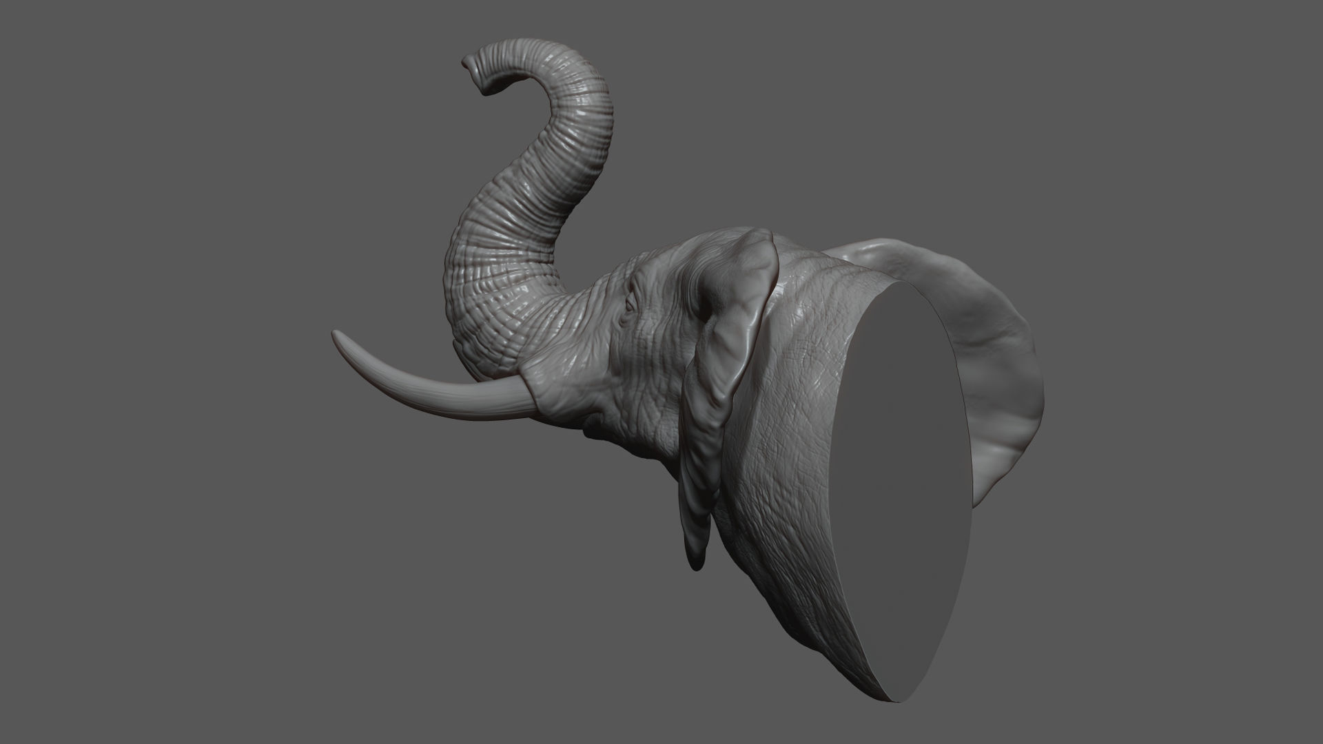 Elephant raised its head 3D print model_7