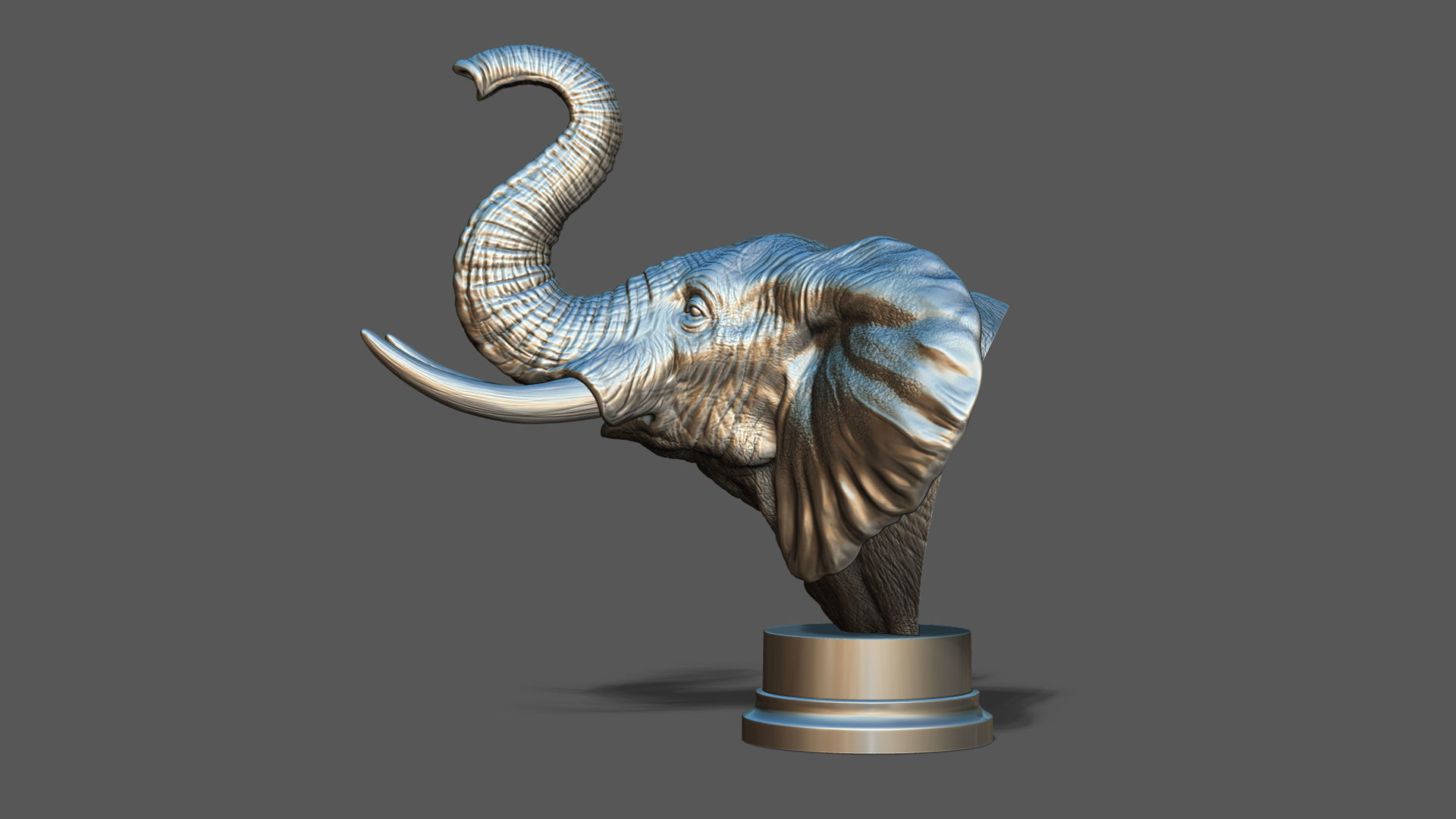 Elephant raised its head 3D print model_15