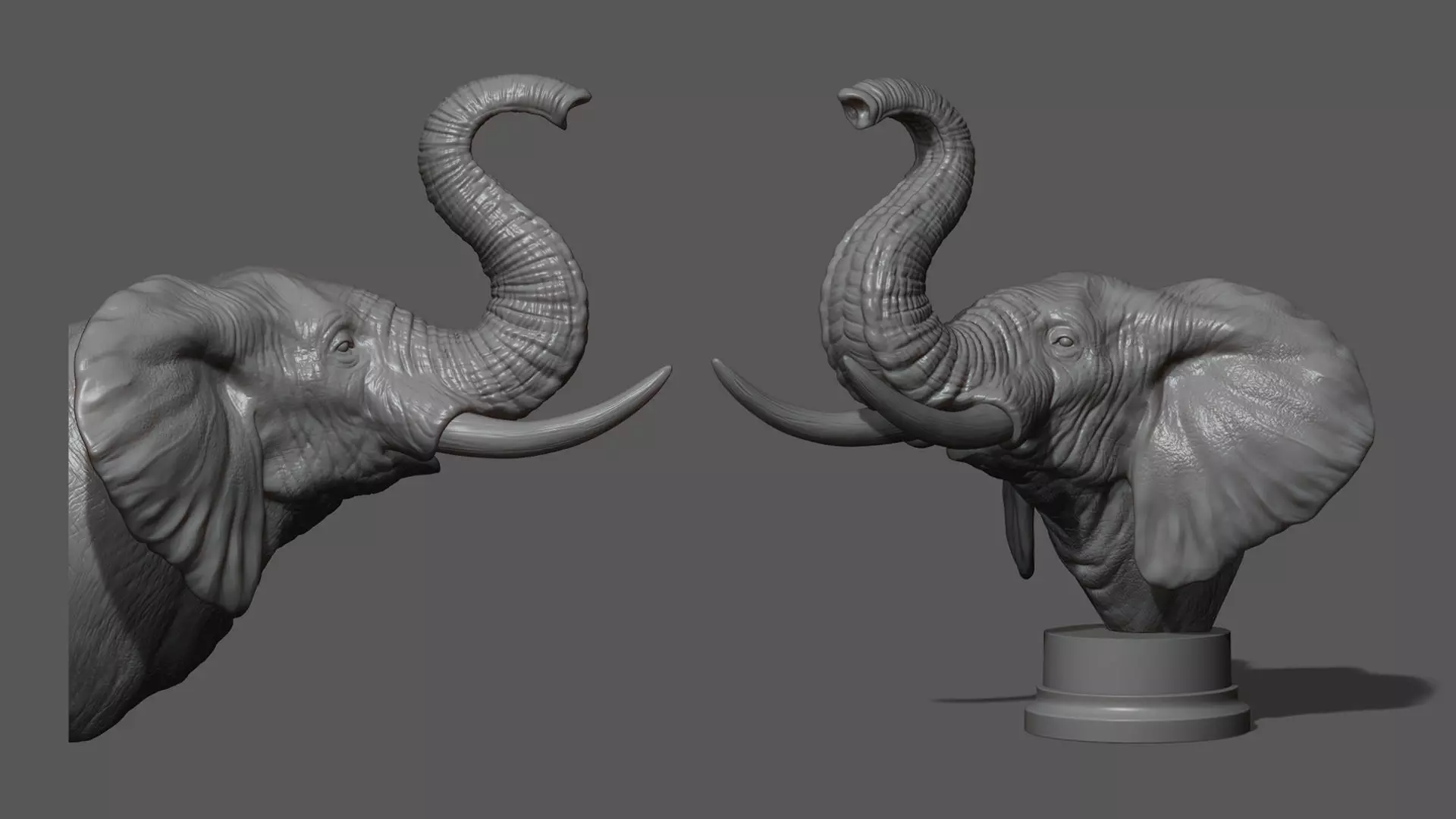 Elephant raised its head 3D print model_0