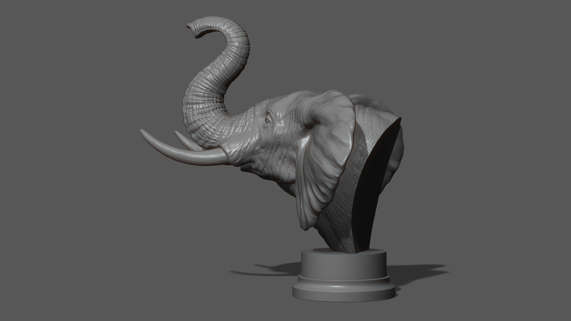 Elephant raised its head 3D print model_12