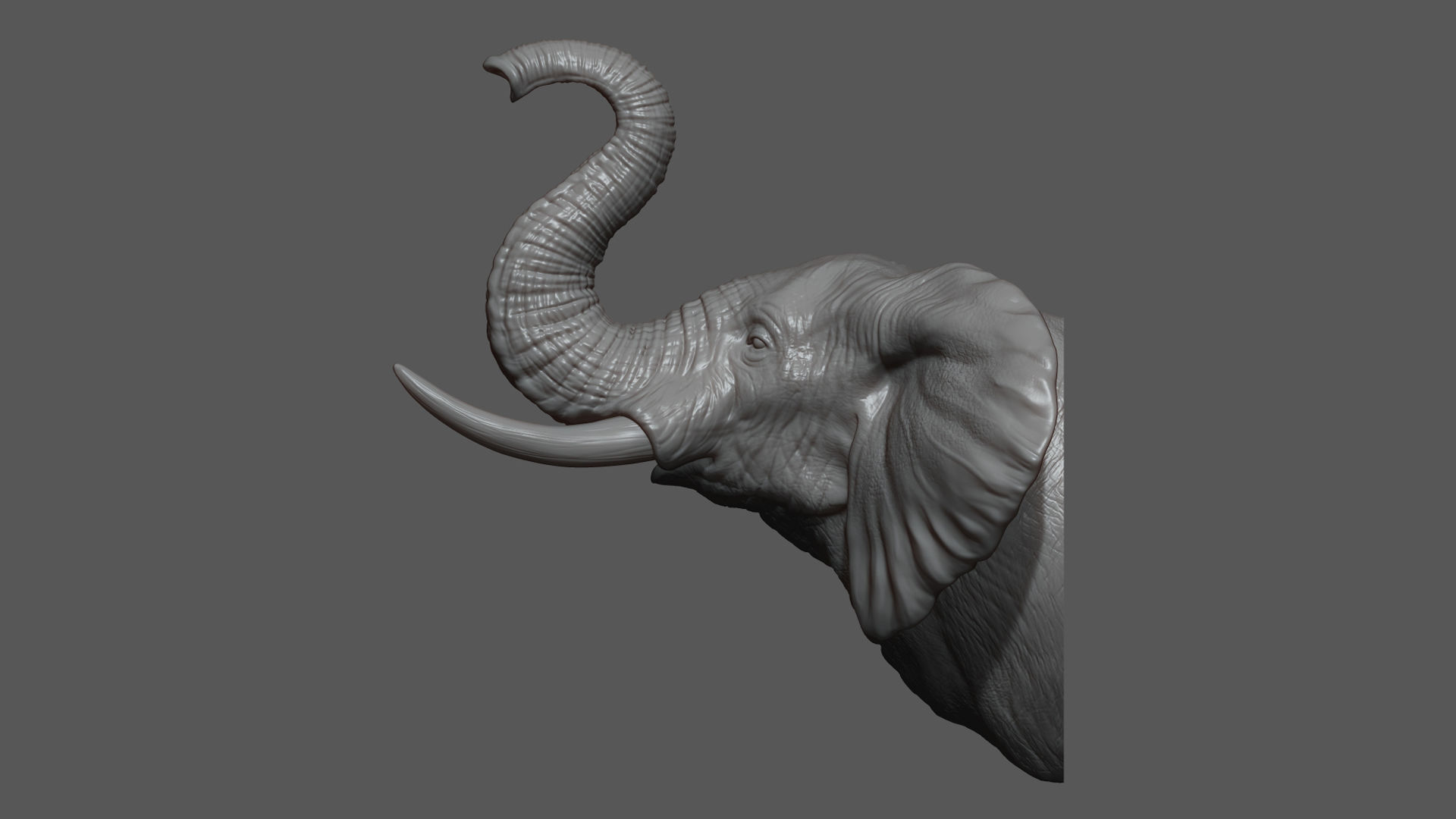 Elephant raised its head 3D print model_8