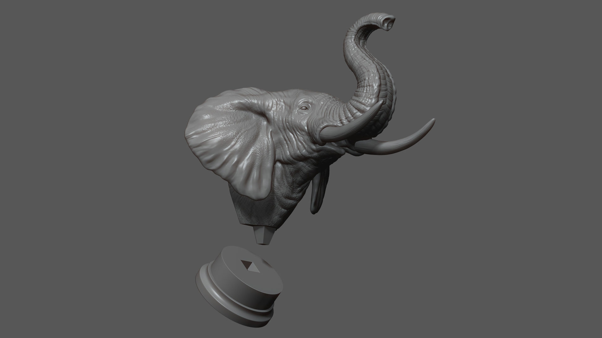 Elephant raised its head 3D print model_10