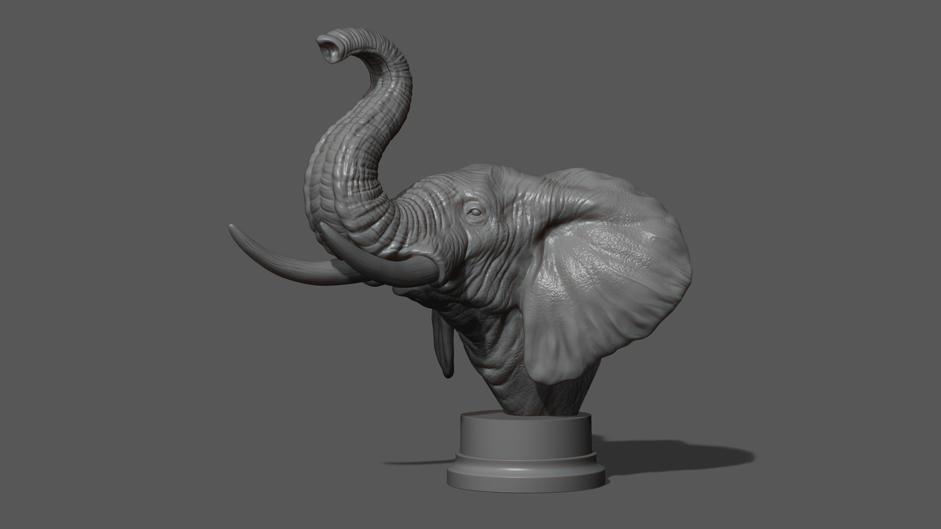Elephant raised its head 3D print model_11