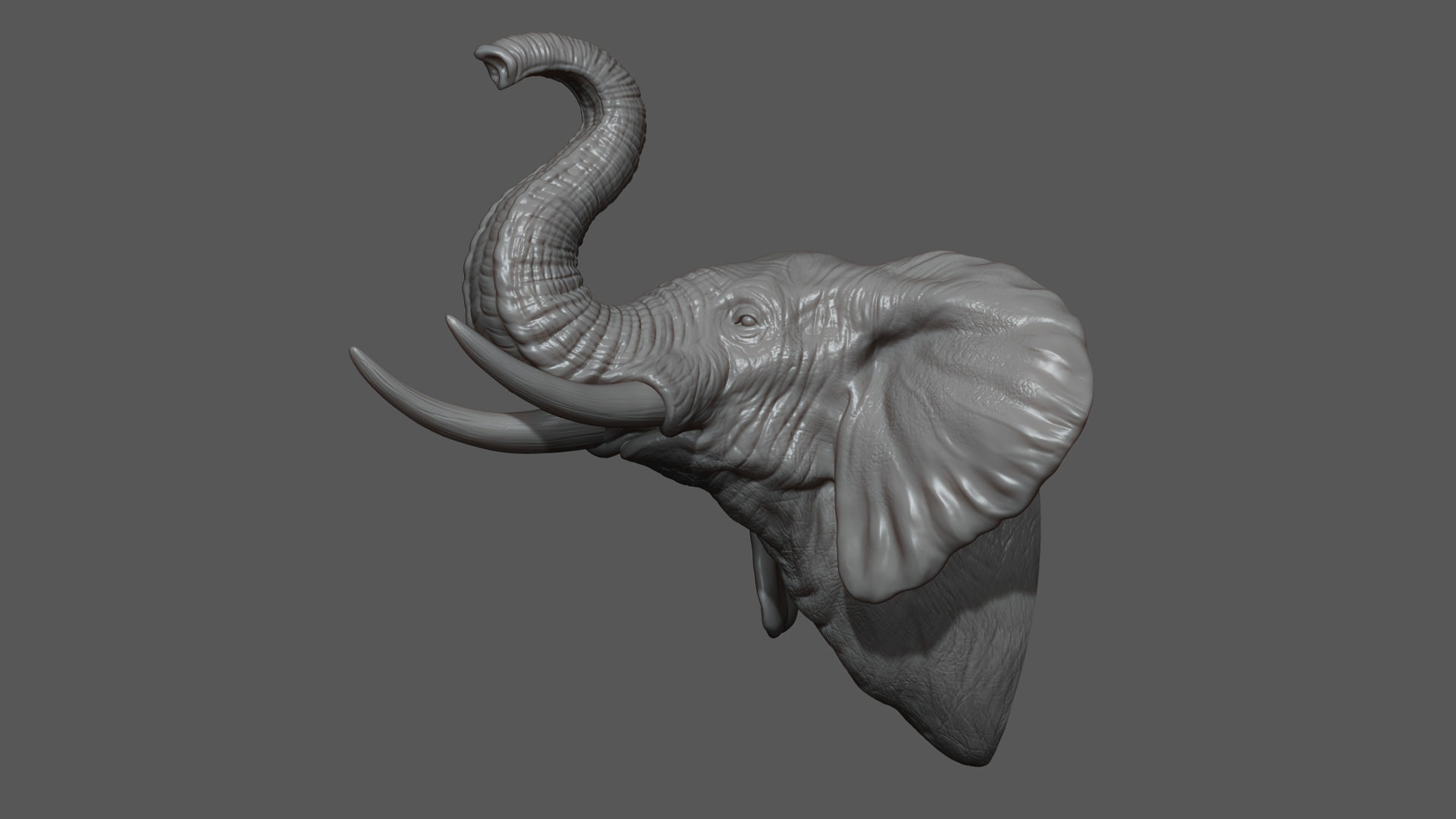 Elephant raised its head 3D print model_6