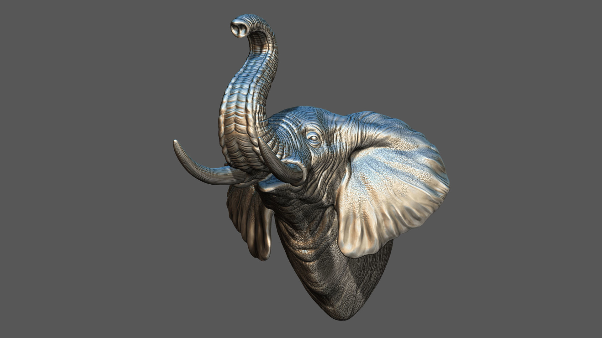 Elephant raised its head 3D print model_3