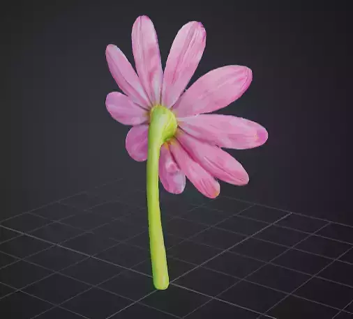 Pink Daisy Flower 3D Model