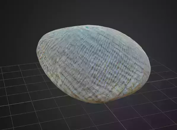 Seashell rock 3D Model