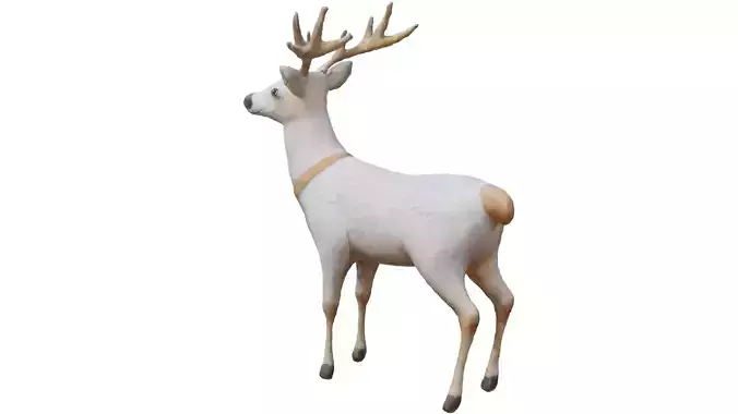 Deer white