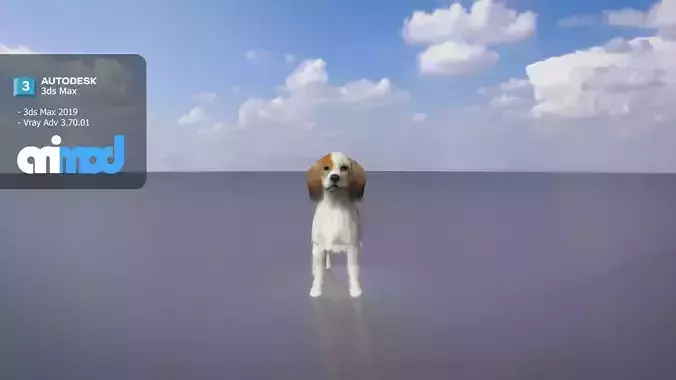 Small Cocker Spaniel Dog