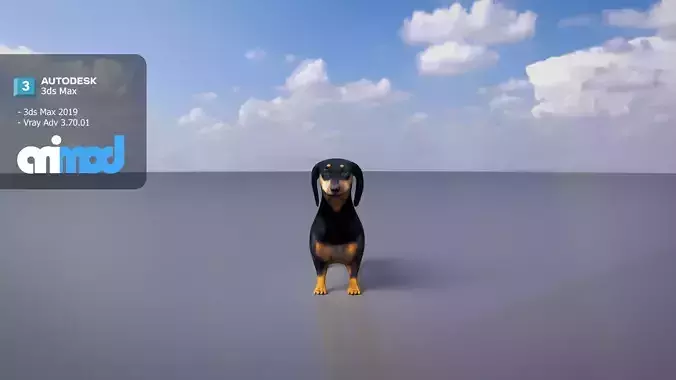 Dachshund