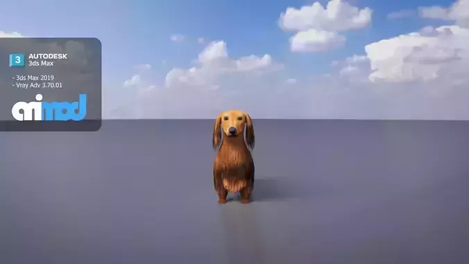 Dachshund 02