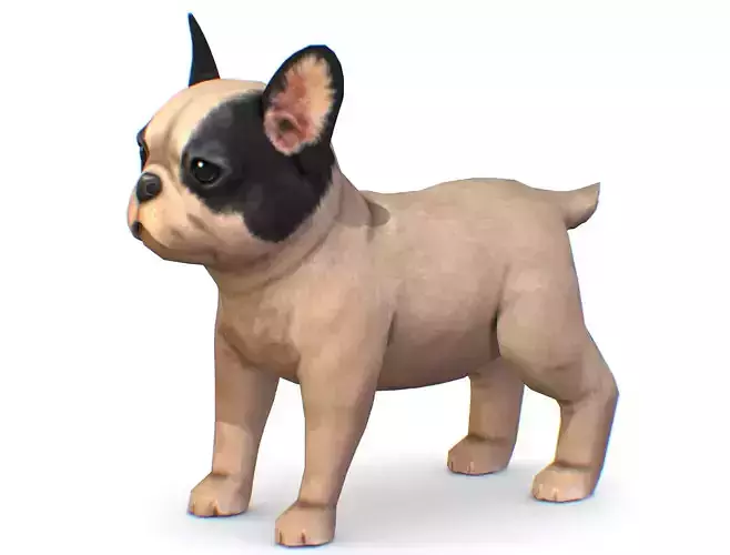 Beige French Bulldog Dog Puppy