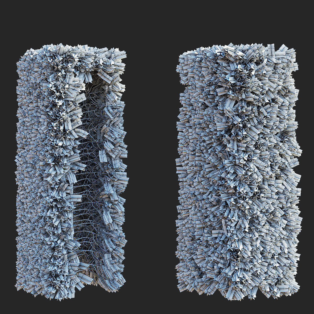 Picea abies hedge high 3D model_6