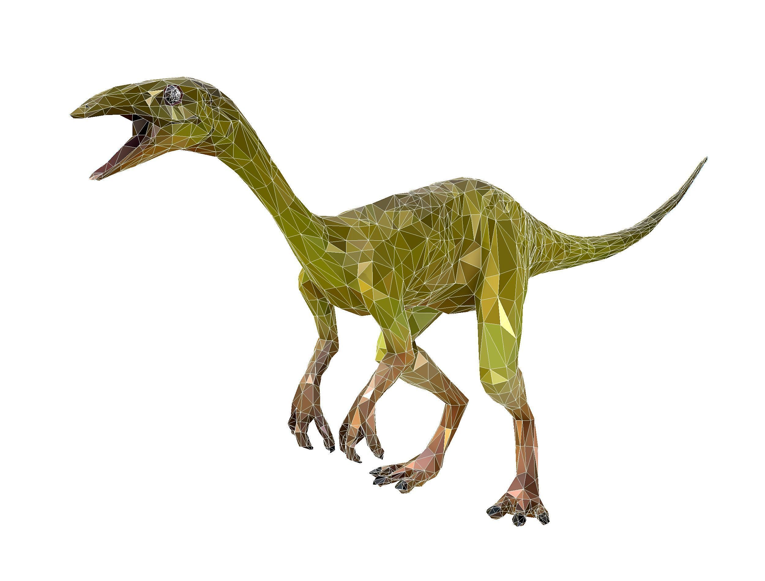 Dinosaur Compy LowPoly Art Low-poly 3D model_29