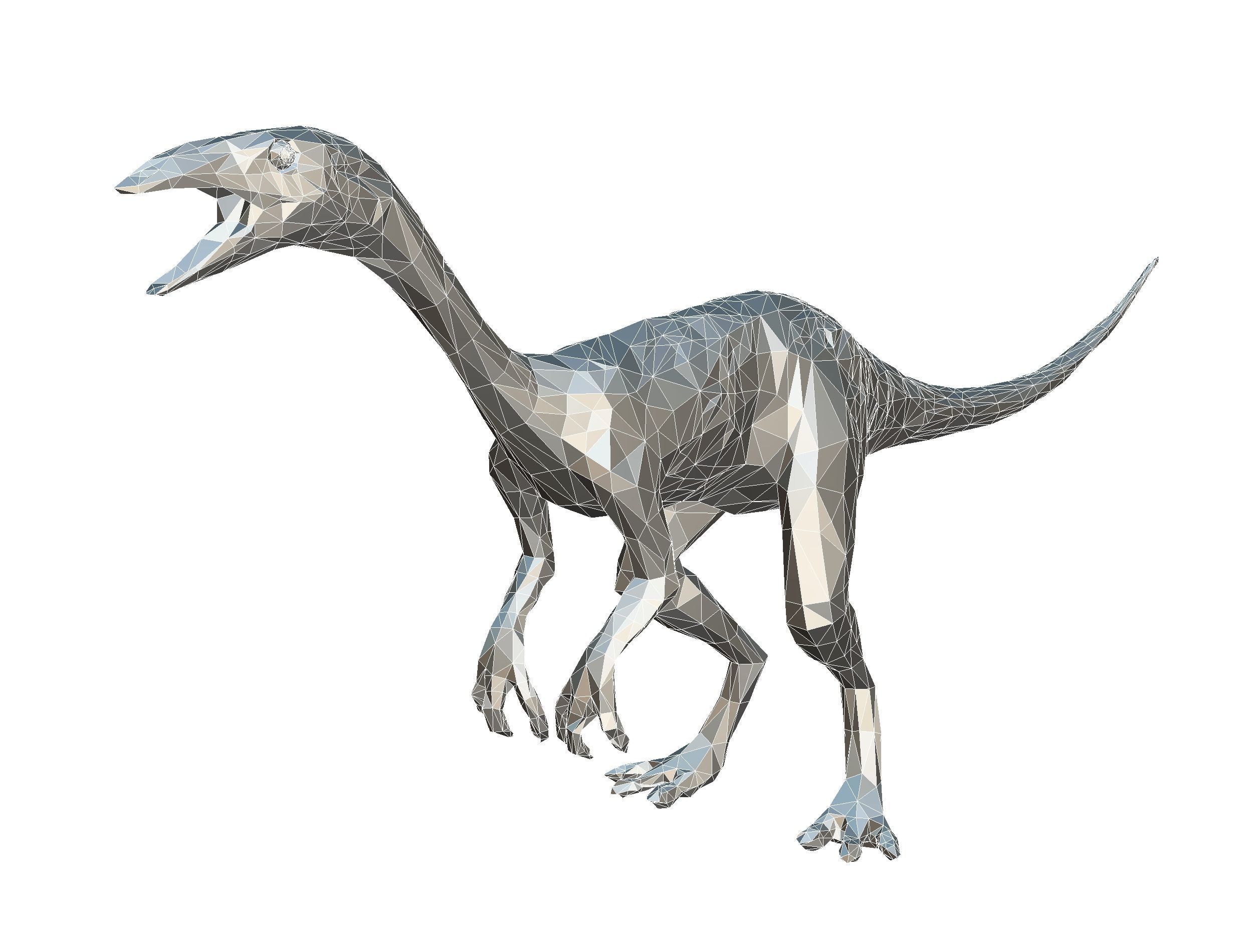 Dinosaur Compy LowPoly Art Low-poly 3D model_30