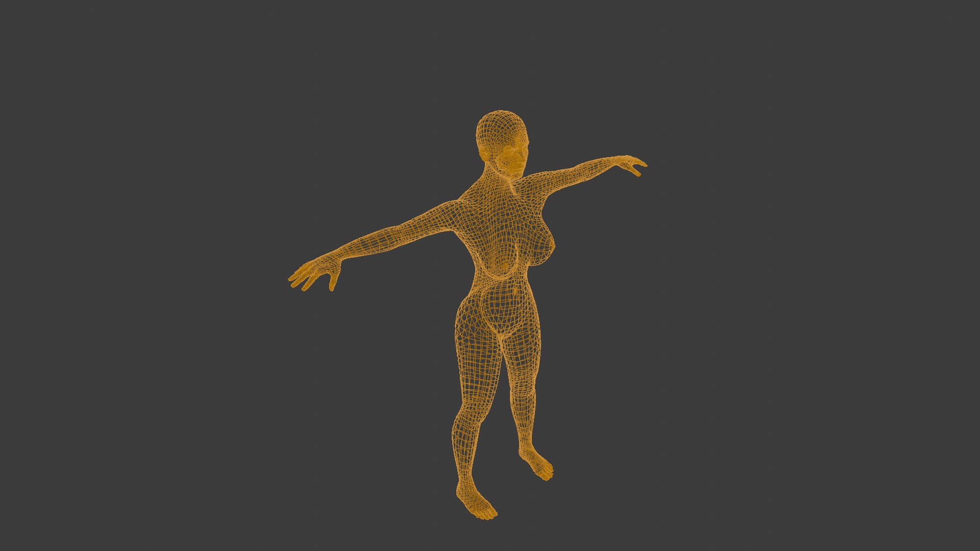 Female Body Mesh - Rigged 3D model_3