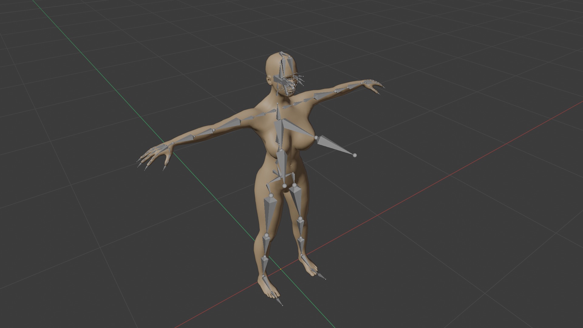 Female Body Mesh - Rigged 3D model_1