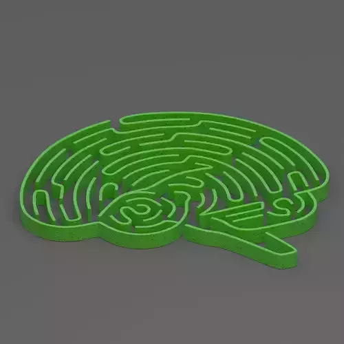 Green brain maze