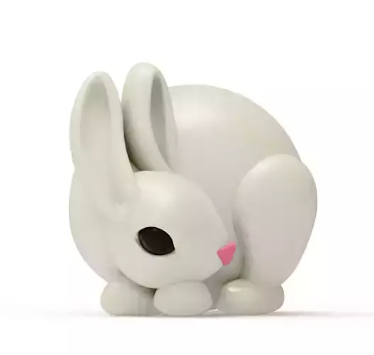 3D Printable Cute Rabbit with carrot 3D print model AN007 model 
