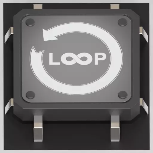 Loop-Module-1  3D model_0