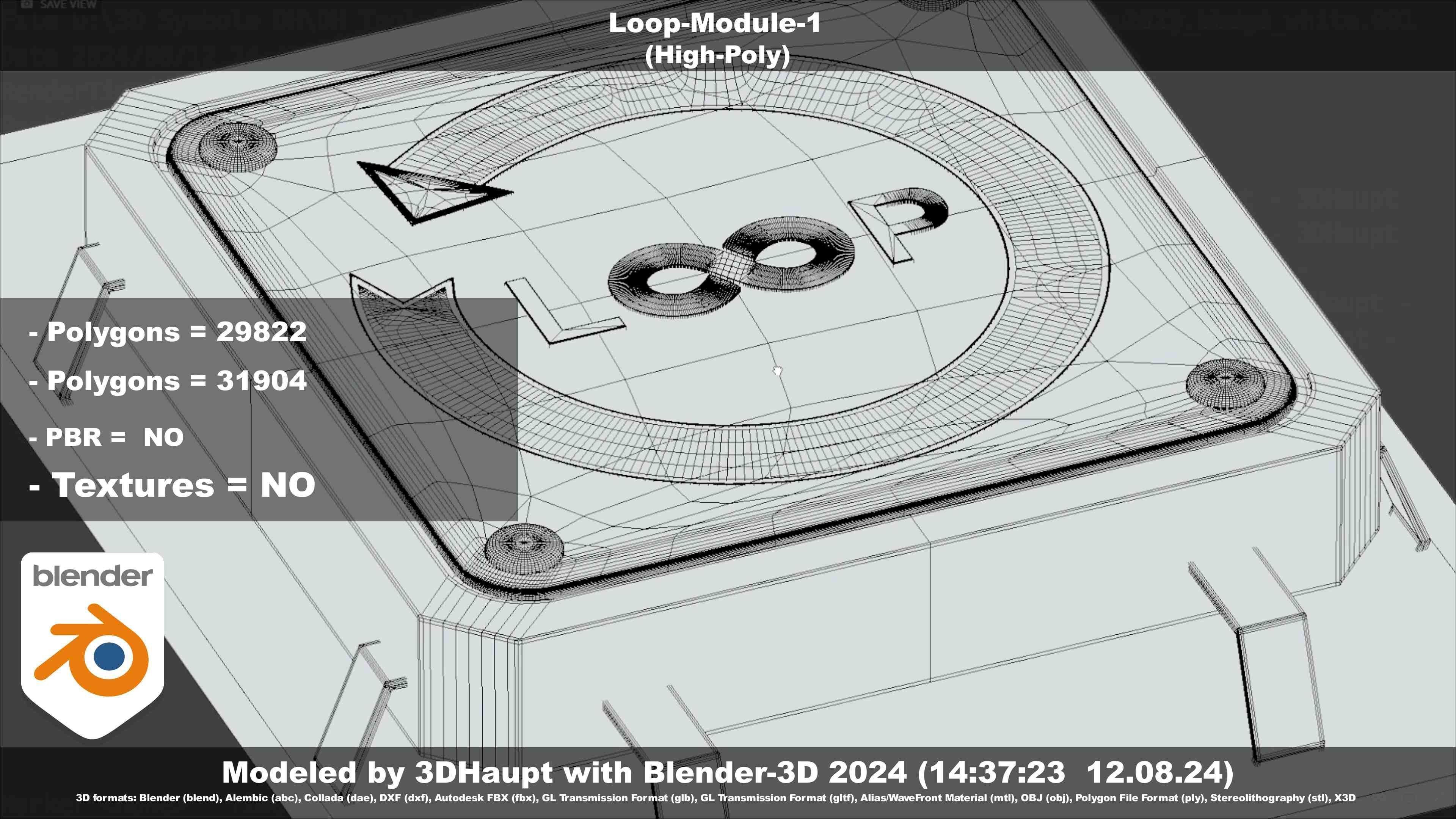 Loop-Module-1  3D model_35