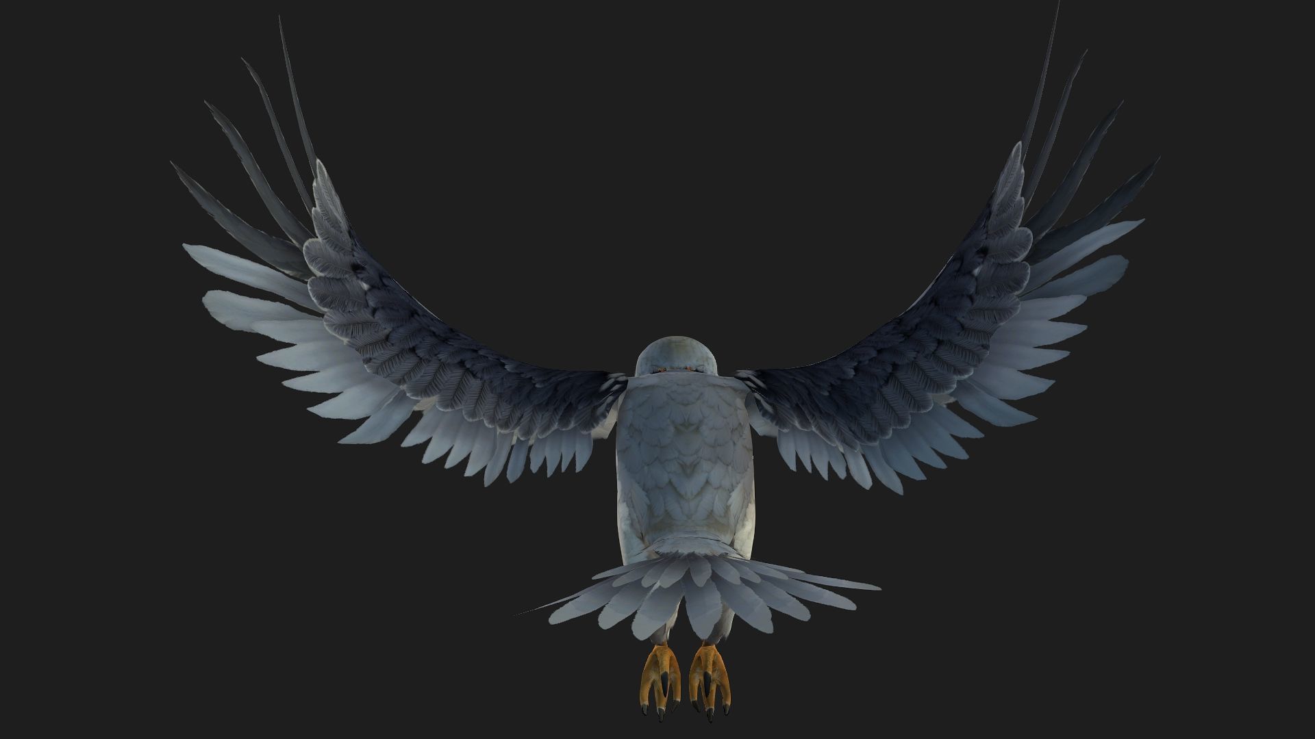 Falcon-A1 3D model_7