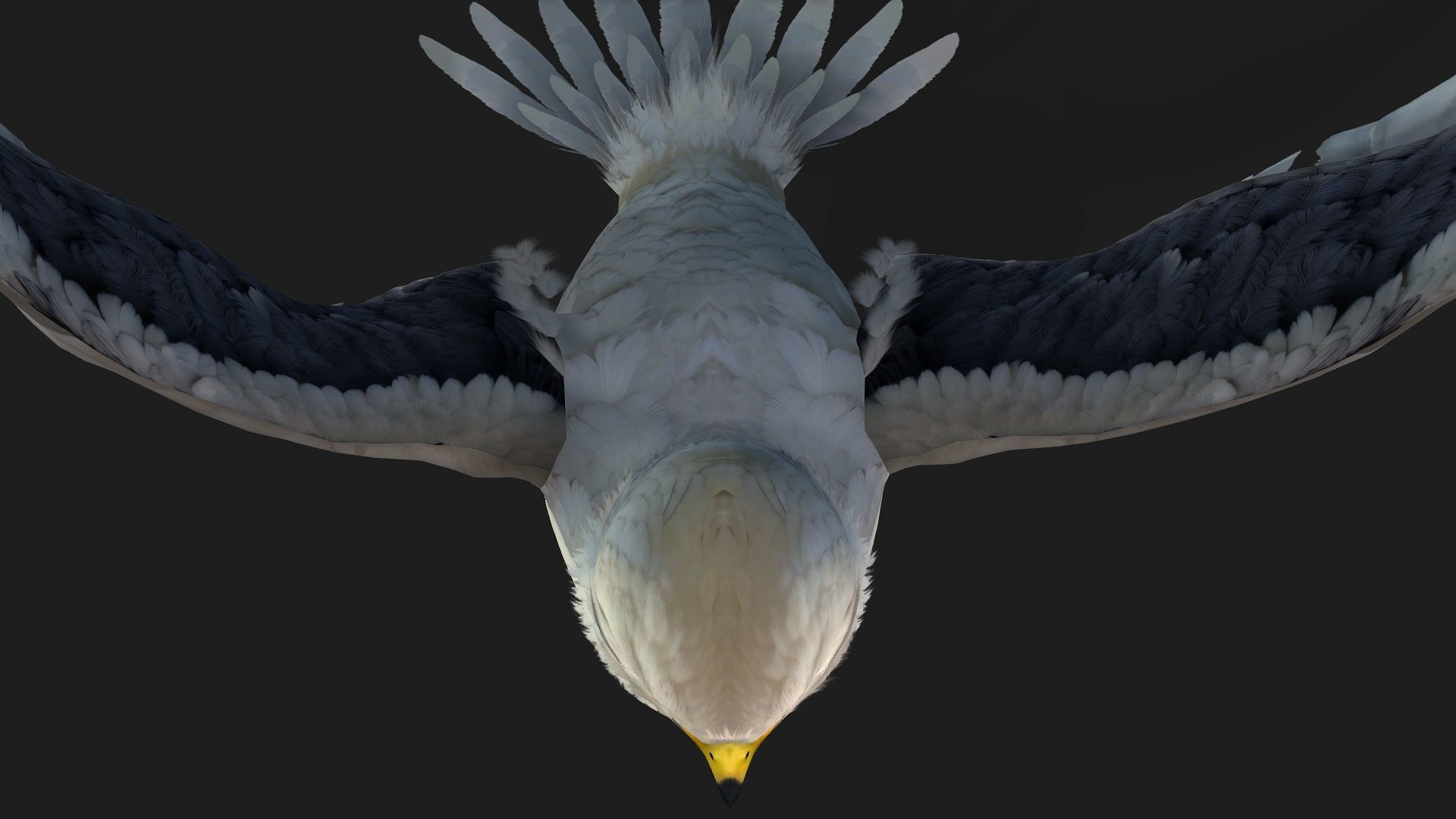 Falcon-A1 3D model_8