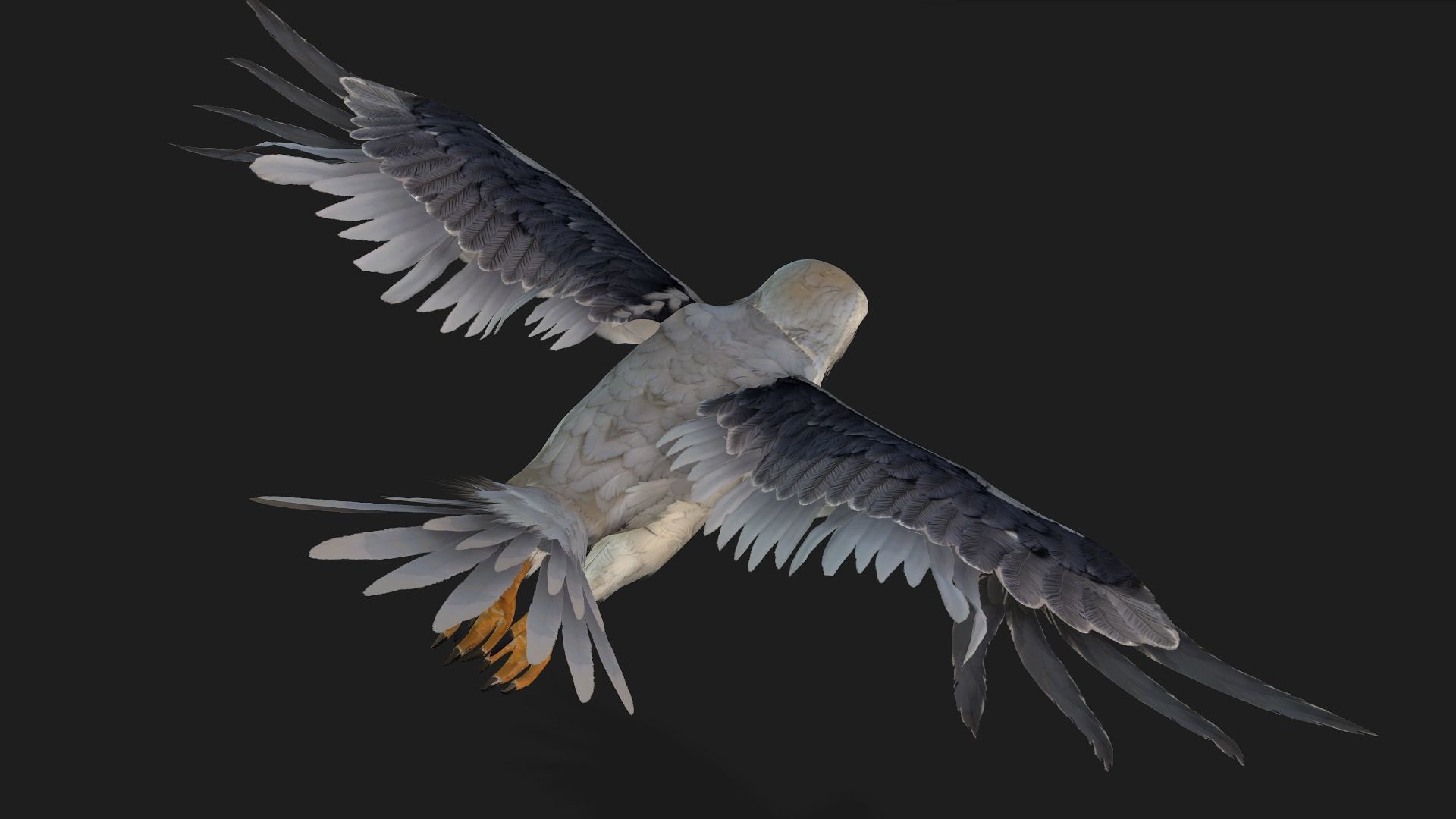 Falcon-A1 3D model_9