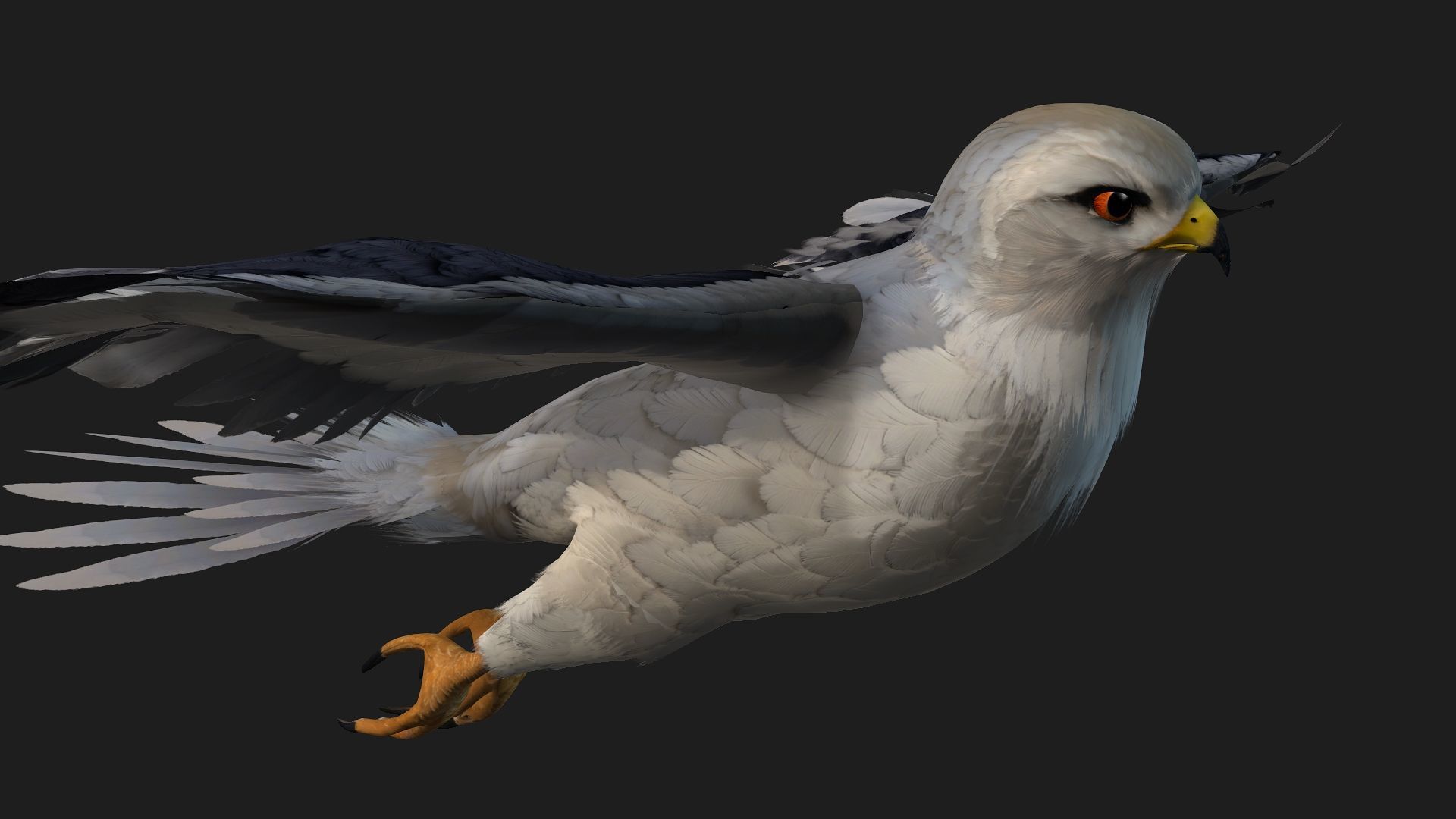 Falcon-A1 3D model_10