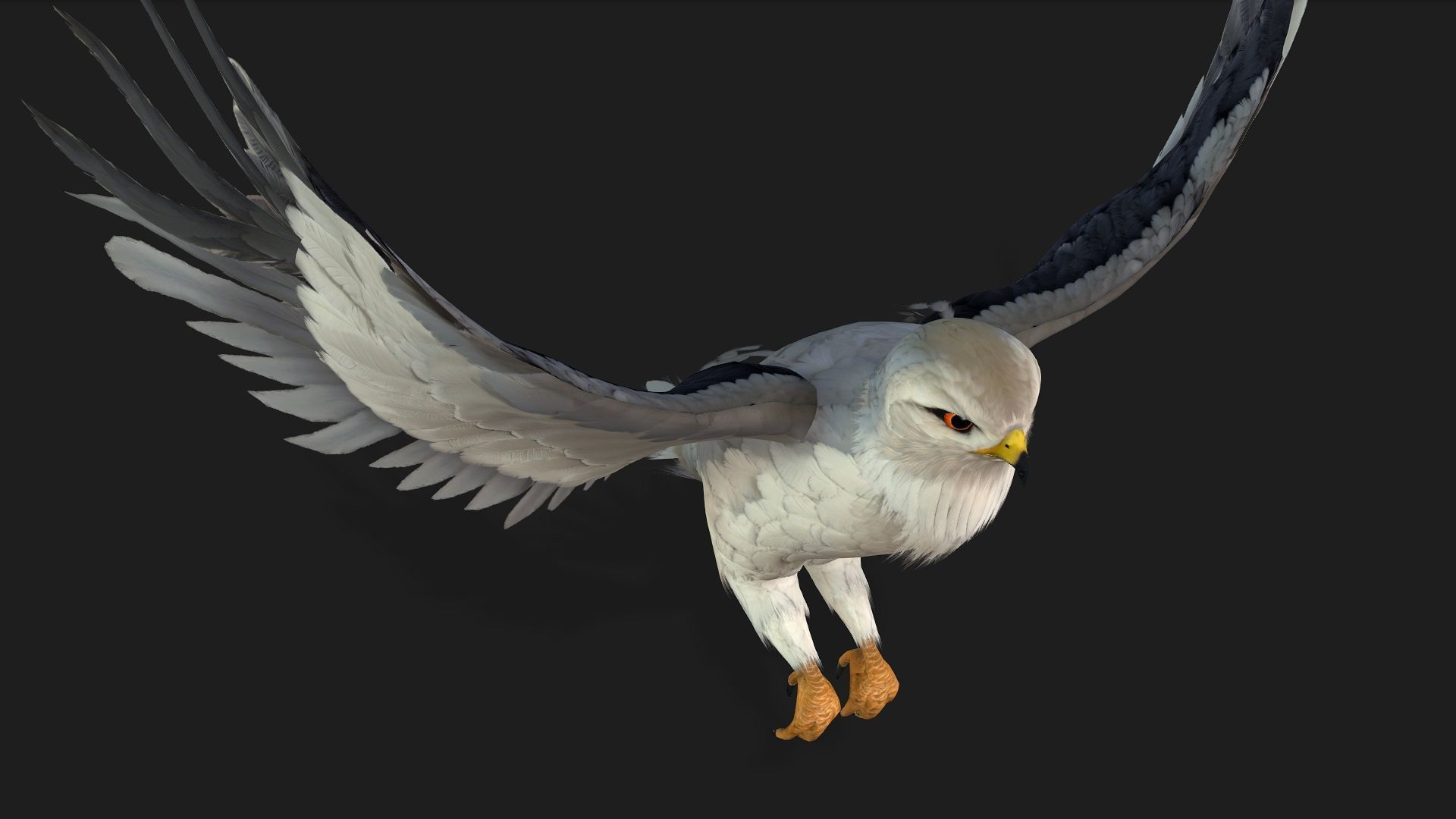 Falcon-A1 3D model_4