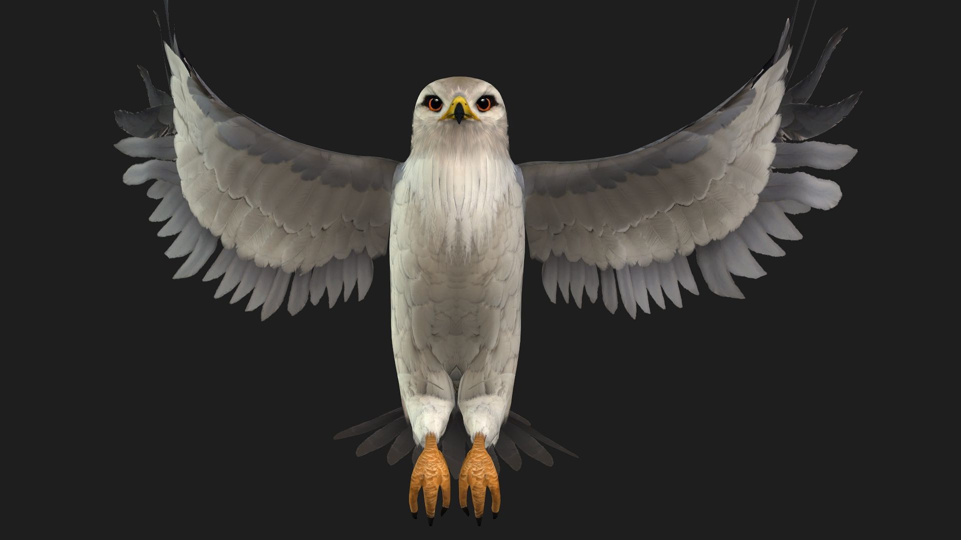 Falcon-A1 3D model_6