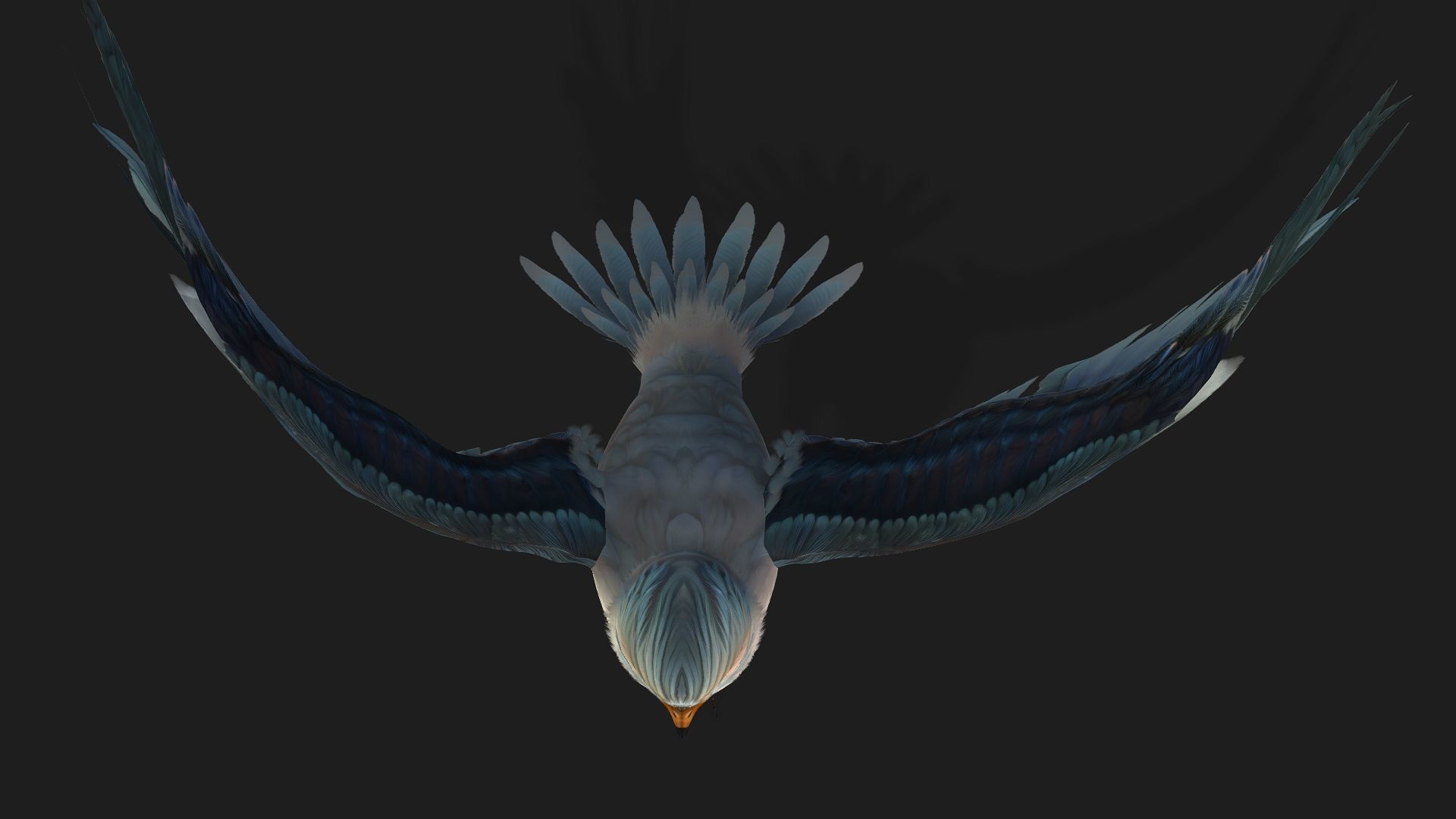 Falcon-A2 3D model_7