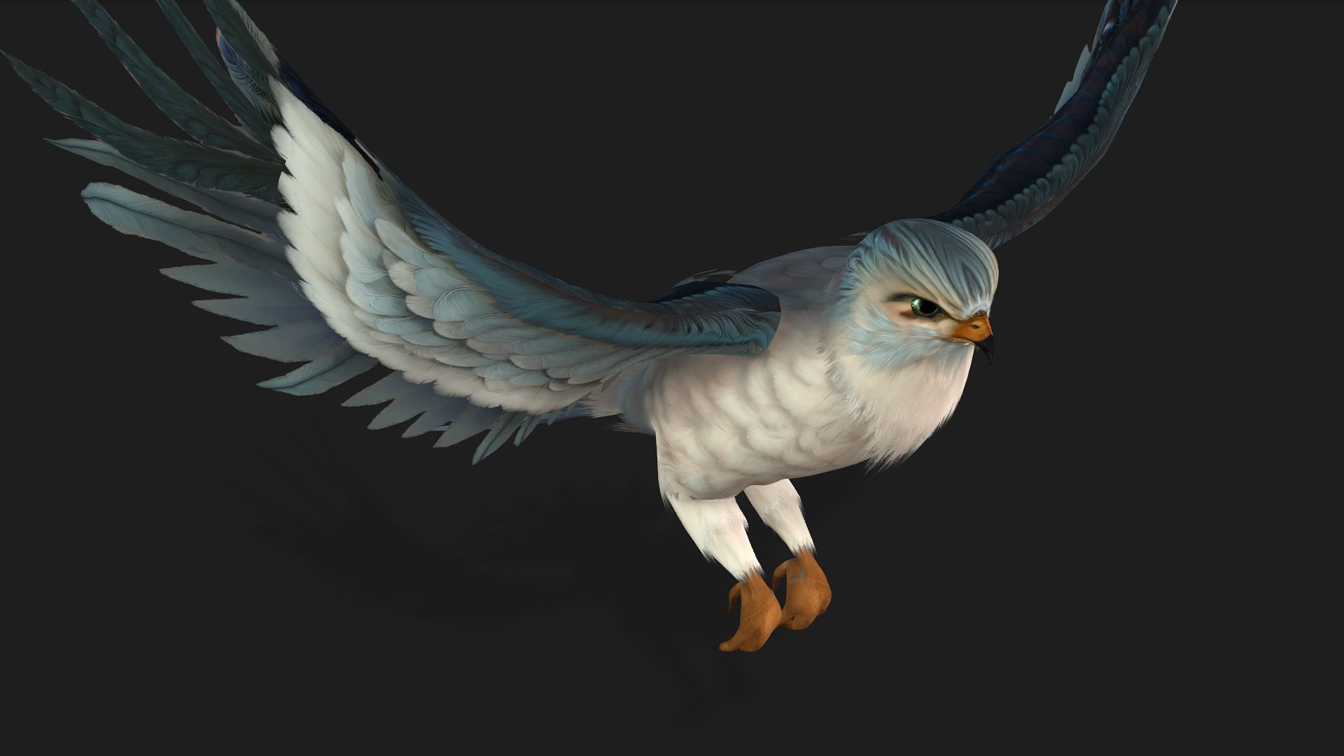 Falcon-A2 3D model_4