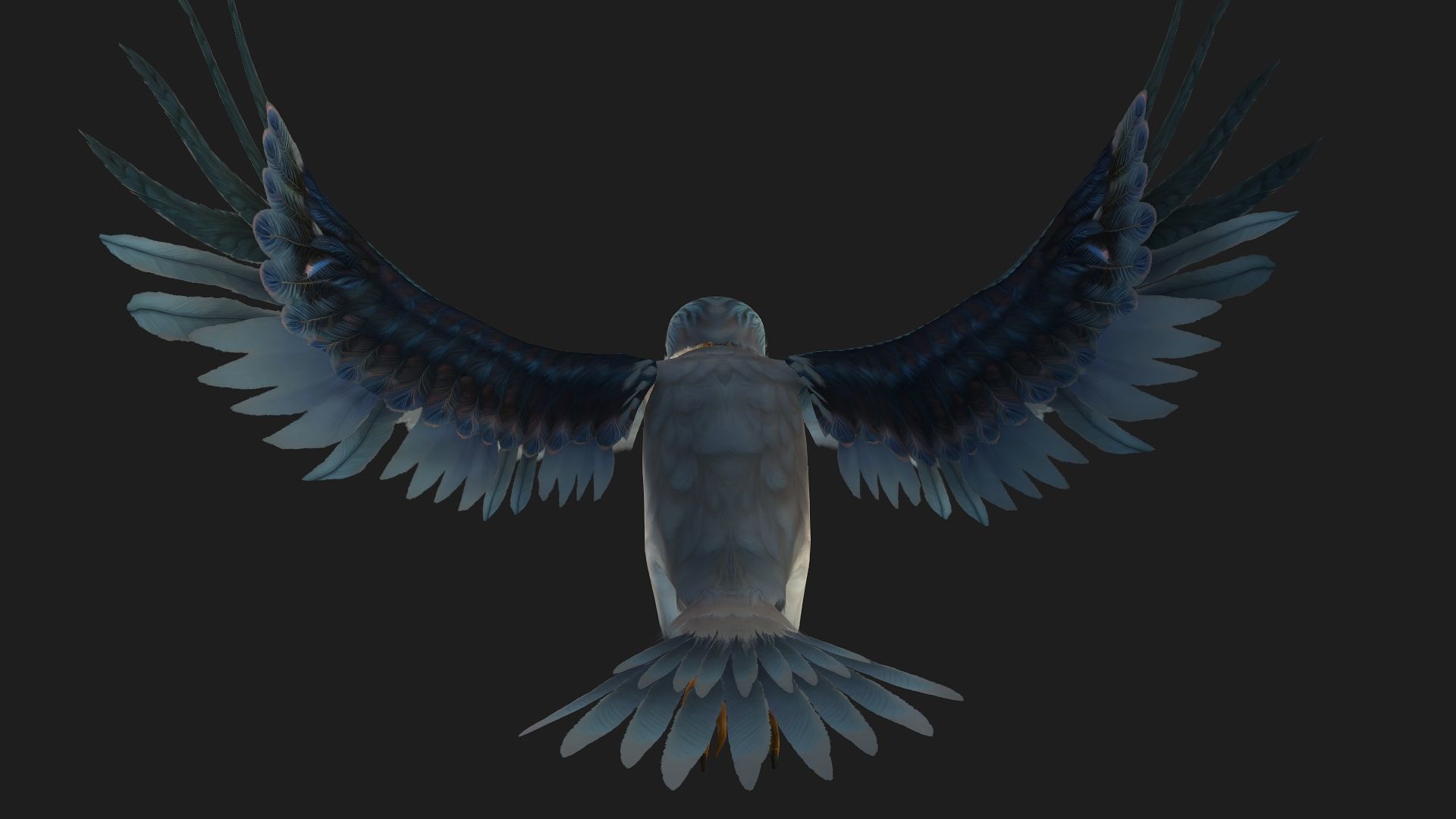 Falcon-A2 3D model_8