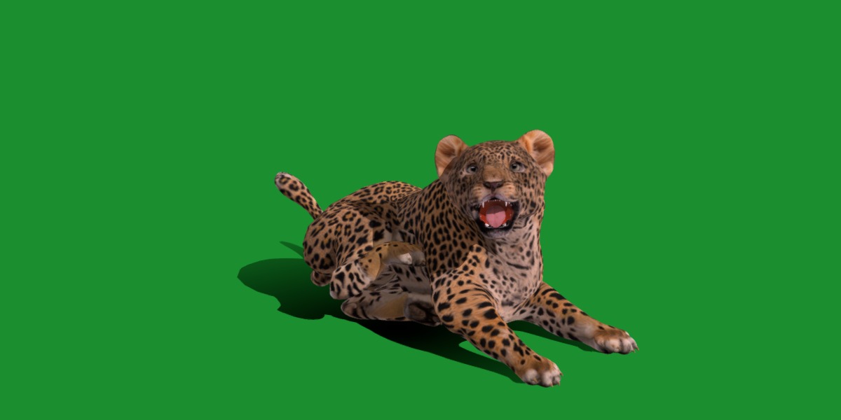 Leopard Cub Low-poly 3D model_13