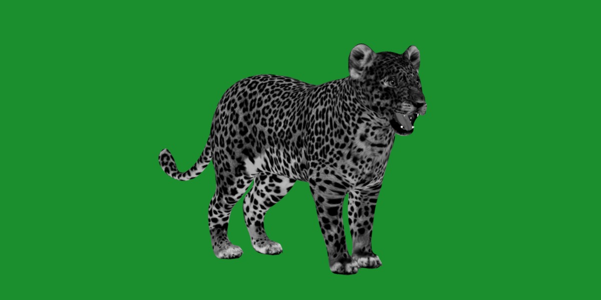 Leopard Cub Low-poly 3D model_6