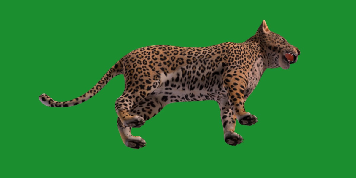 Leopard Cub Low-poly 3D model_23