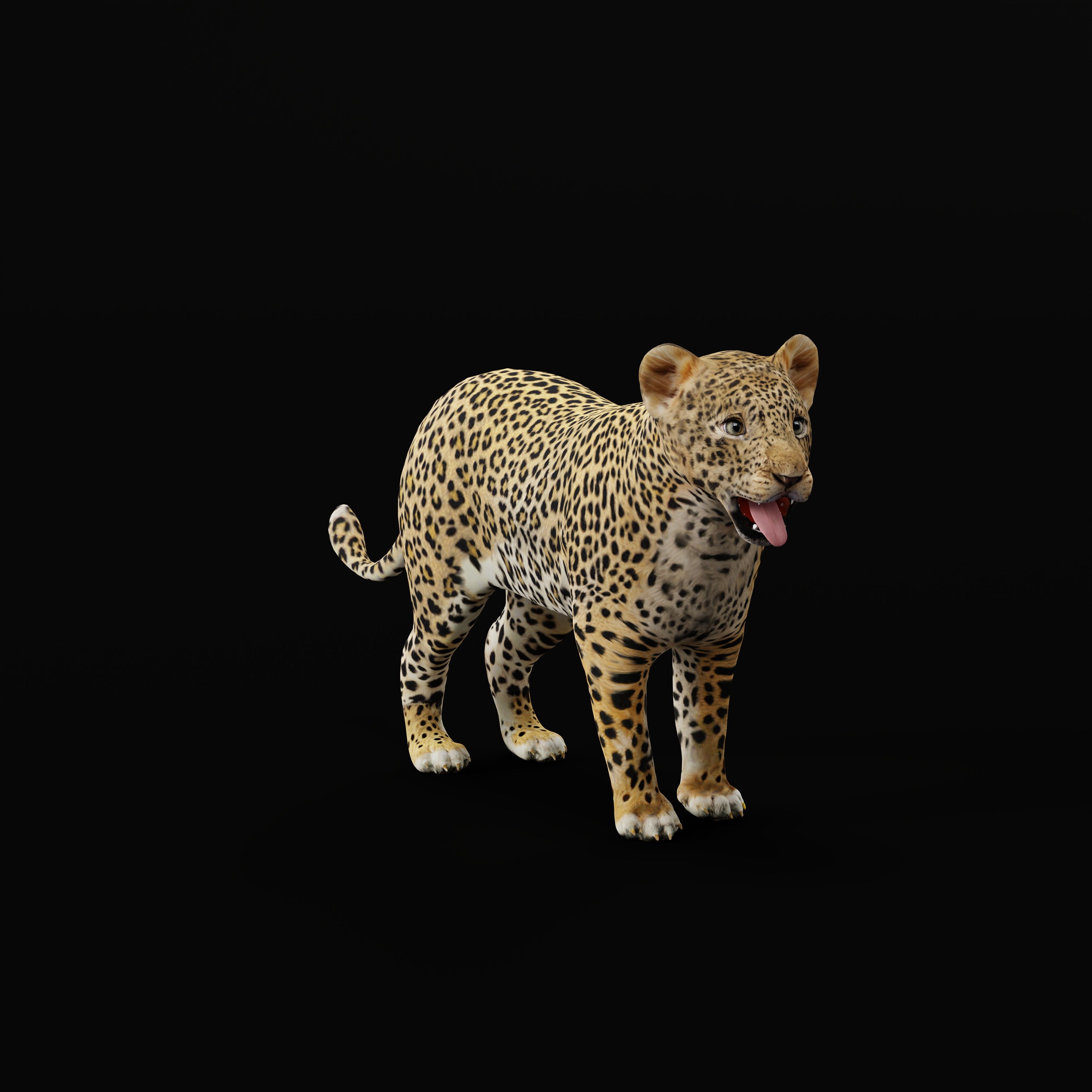 Leopard Cub Low-poly 3D model_31