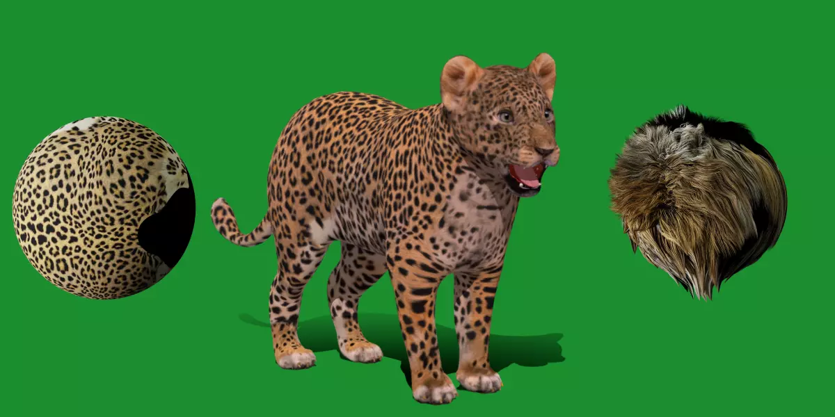 Leopard Cub Low-poly 3D model_0